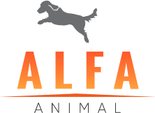 Testing Hospital Alfa Animal